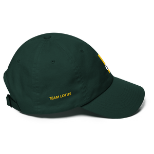 This design is inspired by Team Lotus driver Jim Clark, who won the world championship in 1963 and 1965.